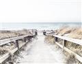Picture of Path to the Beach II _GroupedProduct_Rectangle_Landscape_Photography _GroupedProduct_Rectangle_Landscape_Unframed_Print_Only_