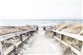 Picture of Path to the Beach II _GroupedProduct_Rectangle_Landscape_Photography _GroupedProduct_Rectangle_Landscape_Unframed_Print_Only_