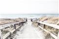 Picture of Path to the Beach II _GroupedProduct_Rectangle_Landscape_Photography _GroupedProduct_Rectangle_Landscape_Unframed_Print_Only_