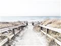 Picture of Path to the Beach II _GroupedProduct_Rectangle_Landscape_Photography _GroupedProduct_Rectangle_Landscape_Unframed_Print_Only_