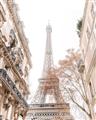 Picture of Paris in the Fall _GroupedProduct_Rectangle_Portrait_Photography _GroupedProduct_Rectangle_Portrait_Unframed_Print_Only_