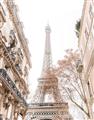 Picture of Paris in the Fall _GroupedProduct_Rectangle_Portrait_Photography _GroupedProduct_Rectangle_Portrait_Unframed_Print_Only_