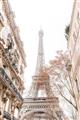 Picture of Paris in the Fall _GroupedProduct_Rectangle_Portrait_Photography _GroupedProduct_Rectangle_Portrait_Unframed_Print_Only_