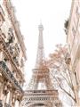 Picture of Paris in the Fall _GroupedProduct_Rectangle_Portrait_Photography _GroupedProduct_Rectangle_Portrait_Unframed_Print_Only_