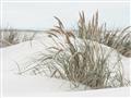 Picture of Sand Dunes _GroupedProduct_Rectangle_Landscape_Photography _GroupedProduct_Rectangle_Landscape_Unframed_Print_Only_