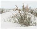 Picture of Sand Dunes _GroupedProduct_Rectangle_Landscape_Photography _GroupedProduct_Rectangle_Landscape_Unframed_Print_Only_