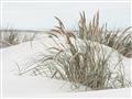 Picture of Sand Dunes _GroupedProduct_Rectangle_Landscape_Photography _GroupedProduct_Rectangle_Landscape_Unframed_Print_Only_