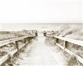 Picture of Path to the Beach II _GroupedProduct_Rectangle_Landscape_Photography _GroupedProduct_Rectangle_Landscape_Unframed_Print_Only_