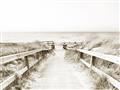 Picture of Path to the Beach II _GroupedProduct_Rectangle_Landscape_Photography _GroupedProduct_Rectangle_Landscape_Unframed_Print_Only_