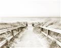 Picture of Path to the Beach II _GroupedProduct_Rectangle_Landscape_Photography _GroupedProduct_Rectangle_Landscape_Unframed_Print_Only_