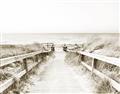 Picture of Path to the Beach II _GroupedProduct_Rectangle_Landscape_Photography _GroupedProduct_Rectangle_Landscape_Unframed_Print_Only_