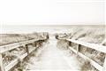 Picture of Path to the Beach II _GroupedProduct_Rectangle_Landscape_Photography _GroupedProduct_Rectangle_Landscape_Unframed_Print_Only_