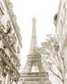 Picture of Paris in the Fall _GroupedProduct_Rectangle_Portrait_Photography _GroupedProduct_Rectangle_Portrait_Unframed_Print_Only_