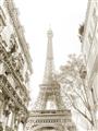 Picture of Paris in the Fall _GroupedProduct_Rectangle_Portrait_Photography _GroupedProduct_Rectangle_Portrait_Unframed_Print_Only_