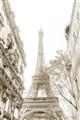 Picture of Paris in the Fall _GroupedProduct_Rectangle_Portrait_Photography _GroupedProduct_Rectangle_Portrait_Unframed_Print_Only_