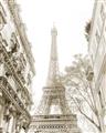 Picture of Paris in the Fall _GroupedProduct_Rectangle_Portrait_Photography _GroupedProduct_Rectangle_Portrait_Unframed_Print_Only_