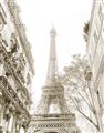Picture of Paris in the Fall _GroupedProduct_Rectangle_Portrait_Photography _GroupedProduct_Rectangle_Portrait_Unframed_Print_Only_