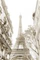 Picture of Paris in the Fall _GroupedProduct_Rectangle_Portrait_Photography _GroupedProduct_Rectangle_Portrait_Unframed_Print_Only_