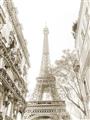 Picture of Paris in the Fall _GroupedProduct_Rectangle_Portrait_Photography _GroupedProduct_Rectangle_Portrait_Unframed_Print_Only_