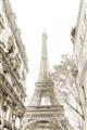 Picture of Paris in the Fall _GroupedProduct_Rectangle_Portrait_Photography _GroupedProduct_Rectangle_Portrait_Unframed_Print_Only_
