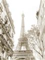 Picture of Paris in the Fall _GroupedProduct_Rectangle_Portrait_Photography _GroupedProduct_Rectangle_Portrait_Unframed_Print_Only_