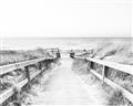 Picture of Path to the Beach II _GroupedProduct_Rectangle_Landscape_Photography _GroupedProduct_Rectangle_Landscape_Unframed_Print_Only_