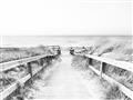 Picture of Path to the Beach II _GroupedProduct_Rectangle_Landscape_Photography _GroupedProduct_Rectangle_Landscape_Unframed_Print_Only_