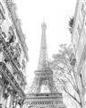Picture of Paris in the Fall _GroupedProduct_Rectangle_Portrait_Photography _GroupedProduct_Rectangle_Portrait_Unframed_Print_Only_