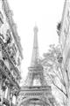 Picture of Paris in the Fall _GroupedProduct_Rectangle_Portrait_Photography _GroupedProduct_Rectangle_Portrait_Unframed_Print_Only_