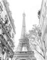 Picture of Paris in the Fall _GroupedProduct_Rectangle_Portrait_Photography _GroupedProduct_Rectangle_Portrait_Unframed_Print_Only_