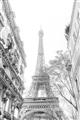 Picture of Paris in the Fall _GroupedProduct_Rectangle_Portrait_Photography _GroupedProduct_Rectangle_Portrait_Unframed_Print_Only_