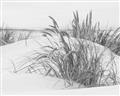 Picture of Sand Dunes _GroupedProduct_Rectangle_Landscape_Photography _GroupedProduct_Rectangle_Landscape_Unframed_Print_Only_