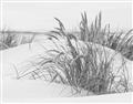 Picture of Sand Dunes _GroupedProduct_Rectangle_Landscape_Photography _GroupedProduct_Rectangle_Landscape_Unframed_Print_Only_