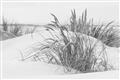 Picture of Sand Dunes _GroupedProduct_Rectangle_Landscape_Photography _GroupedProduct_Rectangle_Landscape_Unframed_Print_Only_