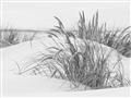 Picture of Sand Dunes _GroupedProduct_Rectangle_Landscape_Photography _GroupedProduct_Rectangle_Landscape_Unframed_Print_Only_