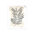 Picture of Antiqued Leaves II _GroupedProduct_Rectangle_Portrait_Unframed_Print_Only_