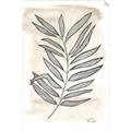 Picture of Antiqued Leaves II _GroupedProduct_Rectangle_Portrait_Unframed_Print_Only_