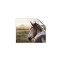 Picture of Horse & the Horizon _GroupedProduct_Rectangle_Landscape_Photography _GroupedProduct_Rectangle_Landscape_Unframed_Print_Only_