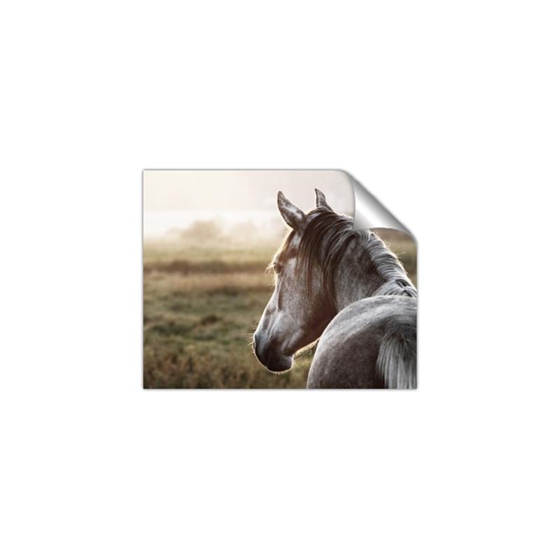 Picture of Horse & the Horizon _GroupedProduct_Rectangle_Landscape_Photography _GroupedProduct_Rectangle_Landscape_Unframed_Print_Only_