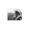 Picture of Horse & the Horizon _GroupedProduct_Rectangle_Landscape_Photography _GroupedProduct_Rectangle_Landscape_Unframed_Print_Only_
