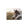 Picture of Horse & the Horizon _GroupedProduct_Rectangle_Landscape_Photography _GroupedProduct_Rectangle_Landscape_Unframed_Print_Only_