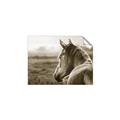 Picture of Horse & the Horizon _GroupedProduct_Rectangle_Landscape_Photography _GroupedProduct_Rectangle_Landscape_Unframed_Print_Only_
