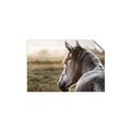Picture of Horse & the Horizon _GroupedProduct_Rectangle_Landscape_Photography _GroupedProduct_Rectangle_Landscape_Unframed_Print_Only_