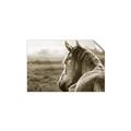 Picture of Horse & the Horizon _GroupedProduct_Rectangle_Landscape_Photography _GroupedProduct_Rectangle_Landscape_Unframed_Print_Only_