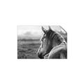 Picture of Horse & the Horizon _GroupedProduct_Rectangle_Landscape_Photography _GroupedProduct_Rectangle_Landscape_Unframed_Print_Only_