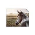 Picture of Horse & the Horizon _GroupedProduct_Rectangle_Landscape_Photography _GroupedProduct_Rectangle_Landscape_Unframed_Print_Only_