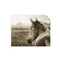 Picture of Horse & the Horizon _GroupedProduct_Rectangle_Landscape_Photography _GroupedProduct_Rectangle_Landscape_Unframed_Print_Only_