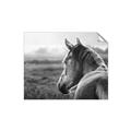 Picture of Horse & the Horizon _GroupedProduct_Rectangle_Landscape_Photography _GroupedProduct_Rectangle_Landscape_Unframed_Print_Only_