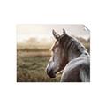 Picture of Horse & the Horizon _GroupedProduct_Rectangle_Landscape_Photography _GroupedProduct_Rectangle_Landscape_Unframed_Print_Only_