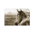 Picture of Horse & the Horizon _GroupedProduct_Rectangle_Landscape_Photography _GroupedProduct_Rectangle_Landscape_Unframed_Print_Only_